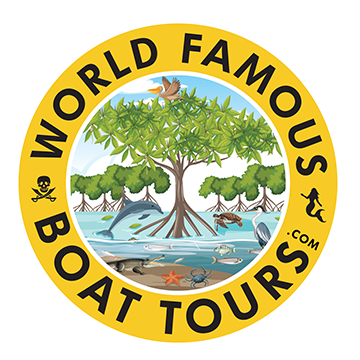World Famous Boat Tours logo with tree